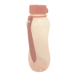 1461-Water Bottle Rally (S)