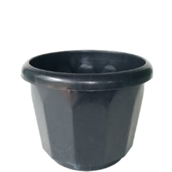 1563-Mal Pot 03 (M)